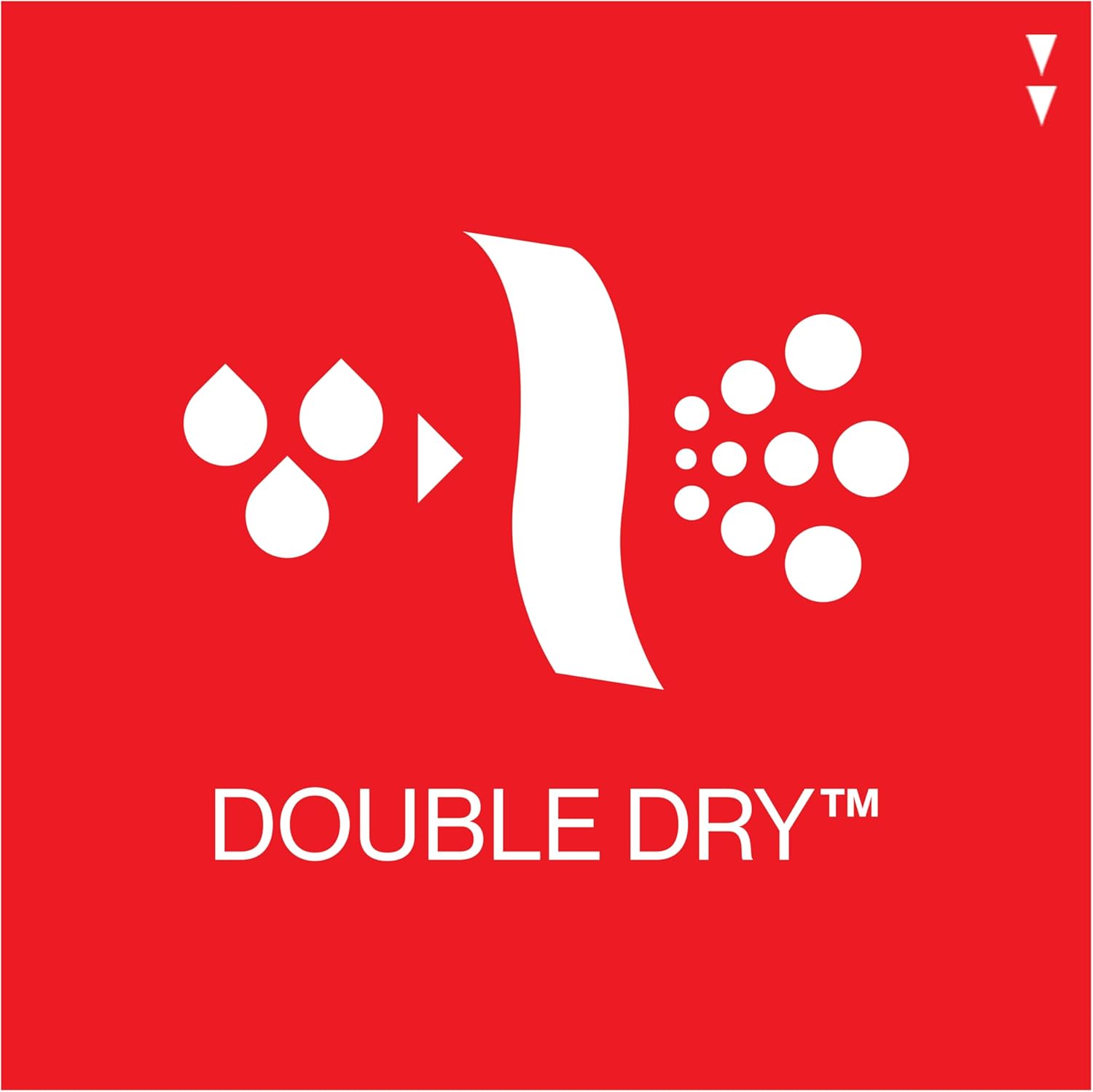 Champion Sport, Moisture Wicking, Athletic Men, Gym Shorts (Reg. Or Big & Tall) - Image 5