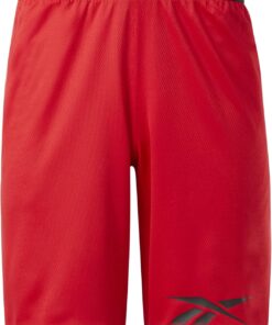 Reebok Men's Basketball Mesh Shorts, Black, L