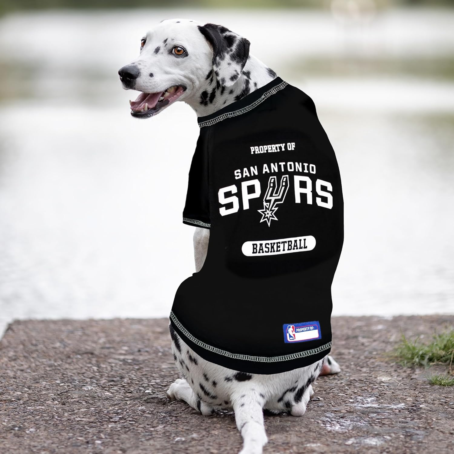 Pets First NBA Licensed Hoodies & T-shirt for Dogs & Cats, SAN Antonio Spurs, Medium - Image 5